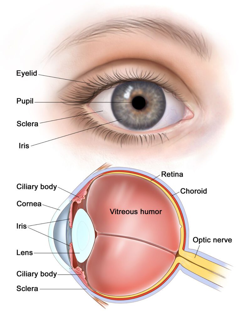 Best Cornea Expert in Jabalpur – Dr. Pawan Sthapak